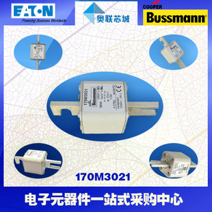 特价，原装BUSSMANN快速熔断器170M3059现货,热卖!