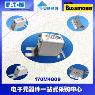 特价，原装BUSSMANN快速熔断器170M4830现货,热卖!