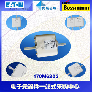 特价，原装BUSSMANN快速熔断器170M6303现货,热卖!