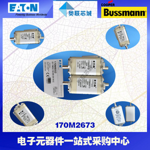 特价，原装BUSSMANN快速熔断器170M2613现货,热卖!