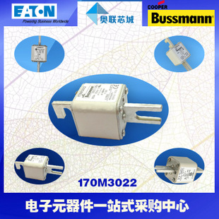 特价，原装BUSSMANN快速熔断器170M3272现货,热卖!