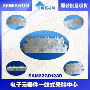SKM22GD124D 功率西门康可控硅模块,现货直销!