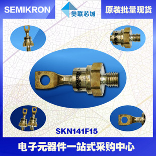 全新原装功率平板晶闸管模块SKN141F17 特价热卖！