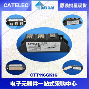 全新原装西班牙可控硅模块CTT116GK08大批量,现货,直销！