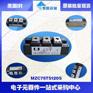 原装美国IR功率快恢复二极管模块MZC75TS120S大批量,现货直拍！