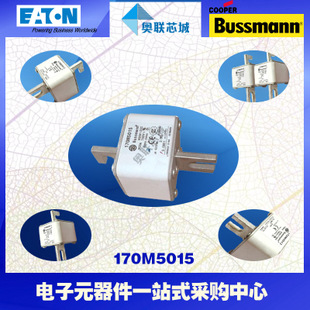 特价，原装BUSSMANN快速熔断器170M5065现货,热卖!