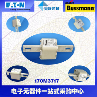 特价，原装BUSSMANN快速熔断器170M3168现货,热卖!