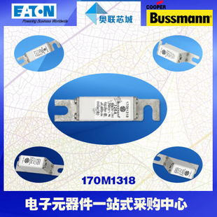 特价，原装BUSSMANN快速熔断器170M1310现货,热卖!