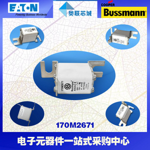 特价，原装BUSSMANN快速熔断器170M2670现货,热卖!
