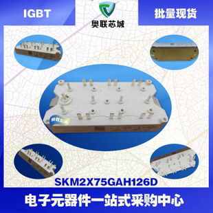 原装功率纺织机IGBT模块SKM2X75GAH126D.现货直销