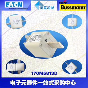 特价，原装BUSSMANN快速熔断器170M5931现货,热卖!