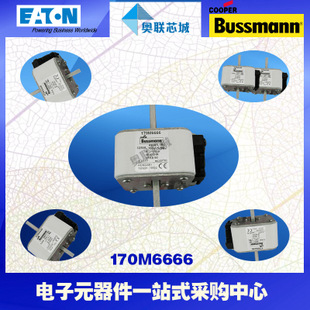 特价，原装BUSSMANN快速熔断器170M6660现货,热卖!